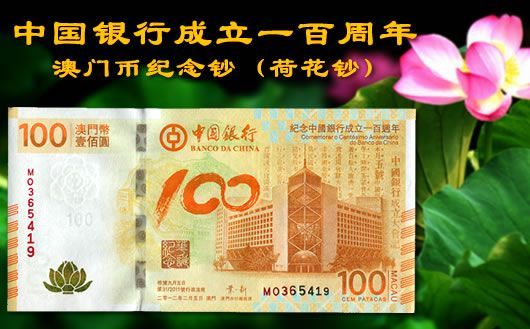 新澳門掛牌正版掛牌完整掛牌，探索與解析，澳門正版掛牌詳解，探索完整流程與解析