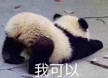 澳門精準(zhǔn)四不像最新正版，揭秘與探索，澳門精準(zhǔn)四不像揭秘與探索最新正版資訊