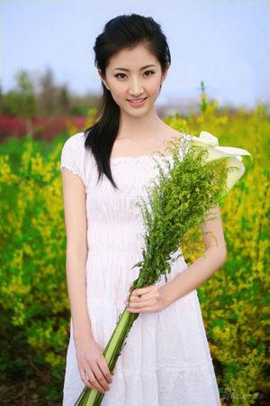 新澳門(mén)生肖走勢(shì)圖精準(zhǔn)版，解讀與SEO策略，新澳門(mén)生肖走勢(shì)圖精準(zhǔn)解讀與SEO策略揭秘