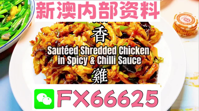 新奧天天精準(zhǔn)資料大全，全方位解讀與應(yīng)用指南，新奧天天精準(zhǔn)資料大全，全方位解讀與應(yīng)用指南手冊(cè)