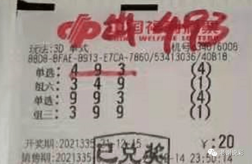 新奧門彩天天開獎資料一網(wǎng)羅萬象，揭秘彩票奧秘，揭秘彩票奧秘，新奧門彩天天開獎資料一網(wǎng)羅萬象