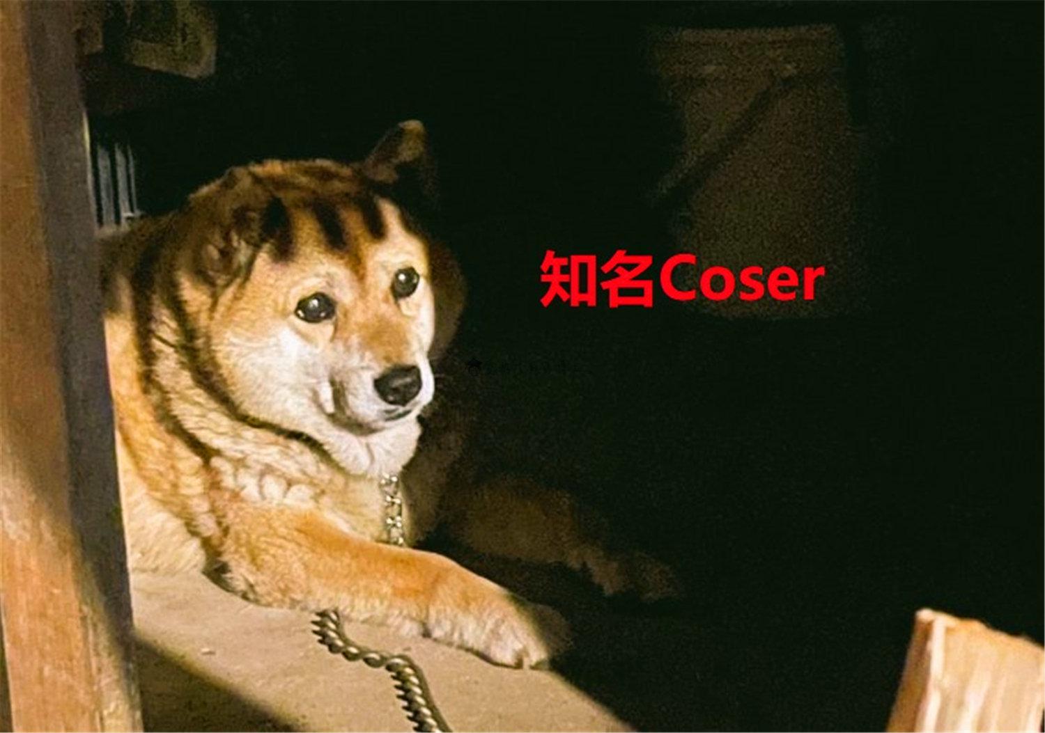 豬狗同行王中王，猜一肖，深度解析與SEO優(yōu)化，豬狗同行王中王猜謎解析與SEO優(yōu)化技巧，深度解析揭秘生肖之謎