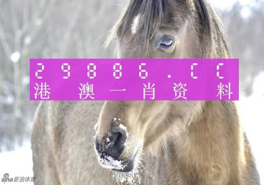 揭秘最準一肖一碼，探尋神秘的生肖預測奧秘，揭秘生肖預測真相，最準一肖一碼探尋記