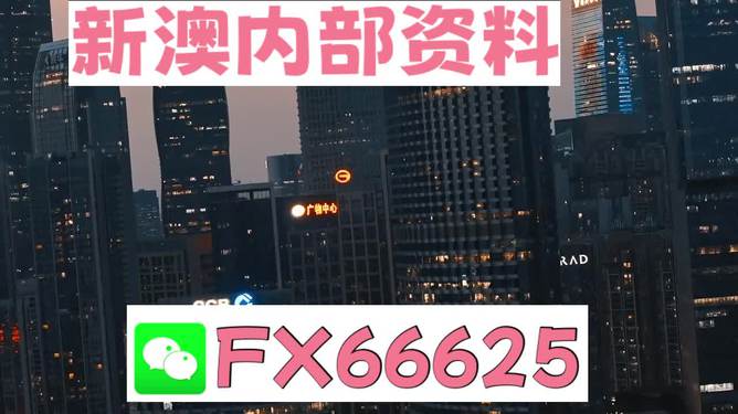 澳門(mén)跑狗，探索與解析，澳門(mén)跑狗，探索與解析之道