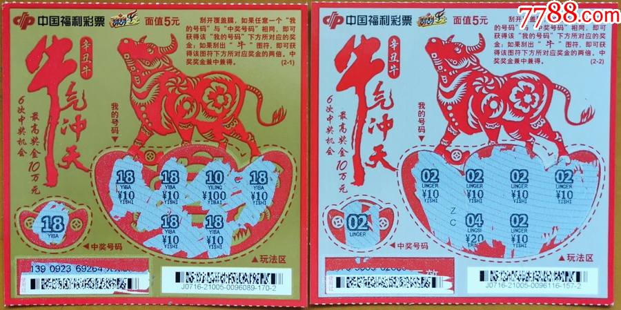 王中王19期指一生肖——探尋背后的奧秘與意義，王中王19期指一生肖，背后的奧秘與意義探尋
