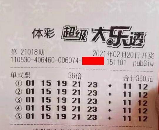 王中王018期指一生肖，揭秘背后的奧秘與意義，揭秘生肖奧秘，王中王生肖背后的意義與秘密