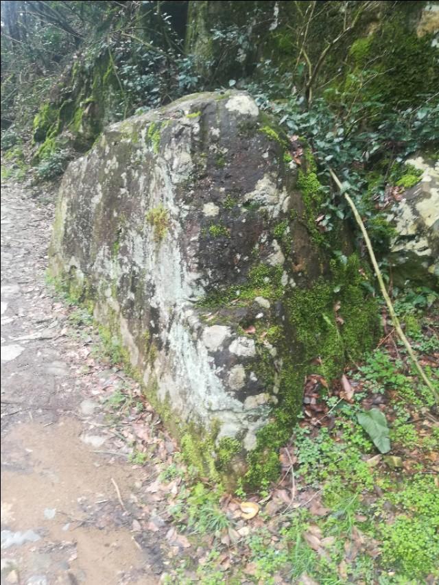 揭秘四不像劉伯溫一肖圖——探尋背后的神秘故事與SEO奧秘，揭秘四不像劉伯溫一肖圖背后的神秘故事與SEO奧秘探索