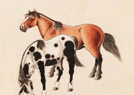馬一王中王特平一肖圖，深度解析與SEO優(yōu)化策略，深度解析馬一王中王特平肖圖，SEO優(yōu)化策略探討