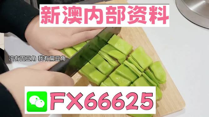 新澳精選資料免費(fèi)提供，探索優(yōu)質(zhì)資源的海洋，新澳精選資料免費(fèi)探索，優(yōu)質(zhì)資源海洋的開啟