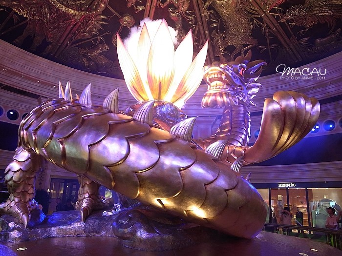 澳門無錯(cuò)七尾，探索與解析，澳門無錯(cuò)七尾，深度探索與解析