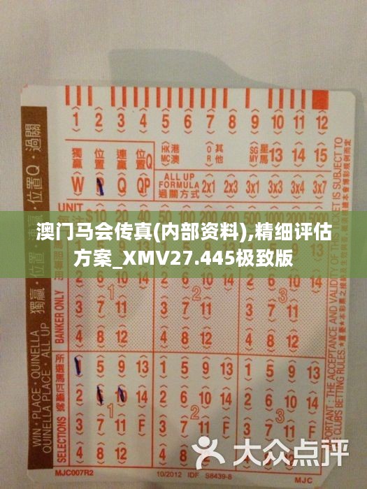 馬會傳真正版，探索正版馬會文化的魅力與價值，正版馬會文化的魅力與價值探索