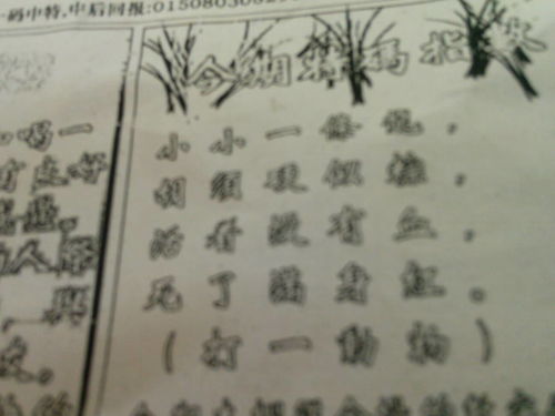 揭秘劉伯溫四肖選一肖的神秘預(yù)測(cè)藝術(shù)，劉伯溫四肖選一肖的神秘預(yù)測(cè)藝術(shù)揭秘