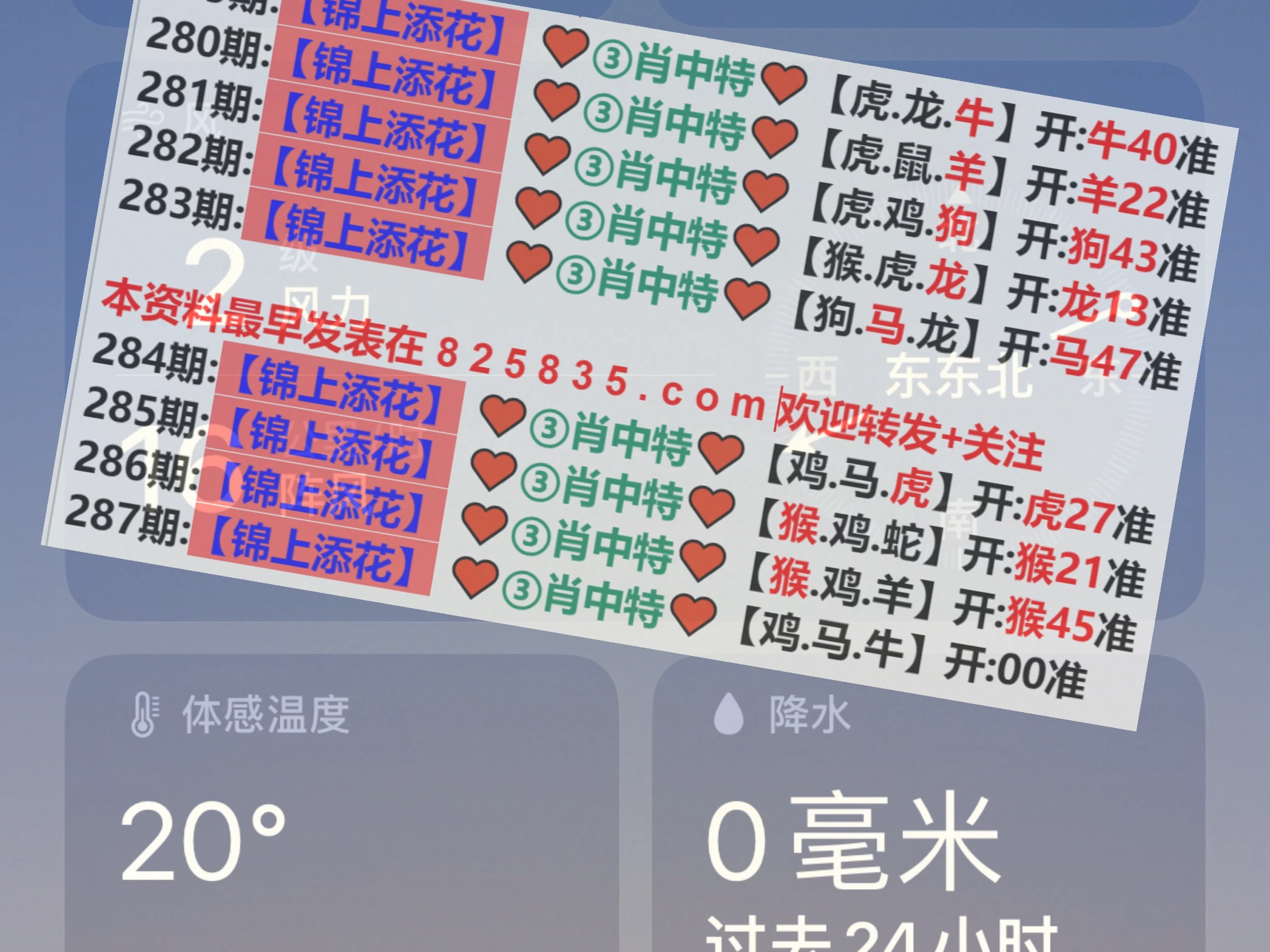 新澳2025年精準(zhǔn)一肖一碼，揭秘預(yù)測(cè)背后的秘密，揭秘新澳2025年精準(zhǔn)一肖一碼預(yù)測(cè)背后的秘密