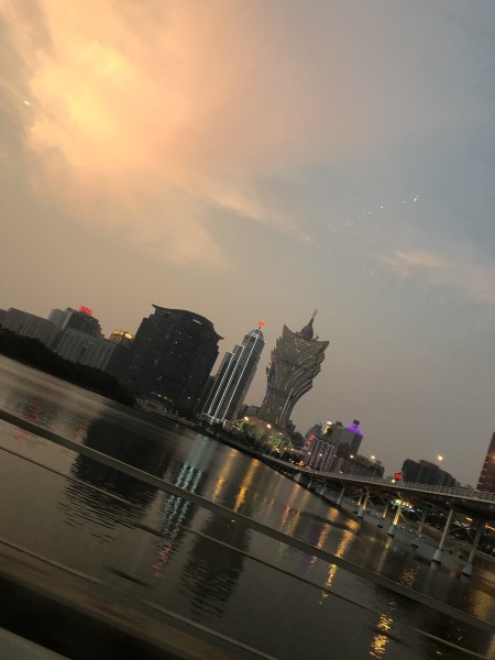 澳門今晚必開一肖一特，深度解析與預(yù)測，澳門今晚生肖特碼深度解析與預(yù)測，一肖一特必開趨勢探討