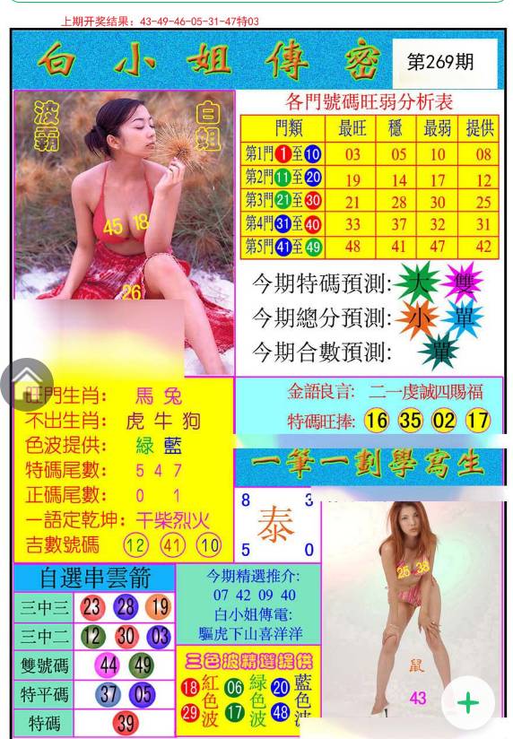 揭秘白小姐與王中王平持一肖的神秘面紗，白小姐與王中王，揭秘神秘生肖預(yù)測面紗
