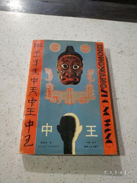 王中王資料與肖中特，深度解析，王中王資料與肖中特深度剖析