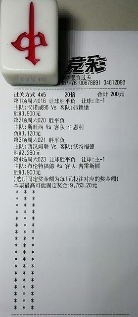 揭秘買一肖中獎的賠率與風(fēng)險(xiǎn)，你真的準(zhǔn)備好了嗎？，揭秘買一肖中獎背后的賠率與風(fēng)險(xiǎn)，你真的做好準(zhǔn)備了嗎？