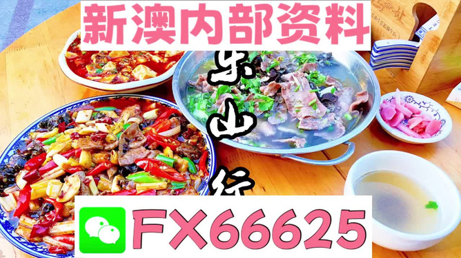 新澳全年免費資料大全——探索與學習的不竭源泉，新澳全年免費資料大全，無盡的學習資源寶庫