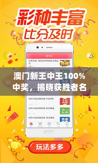 王中王藏寶閣猜一肖，揭秘背后的秘密與SEO策略，王中王藏寶閣猜一肖背后的秘密與SEO策略揭秘
