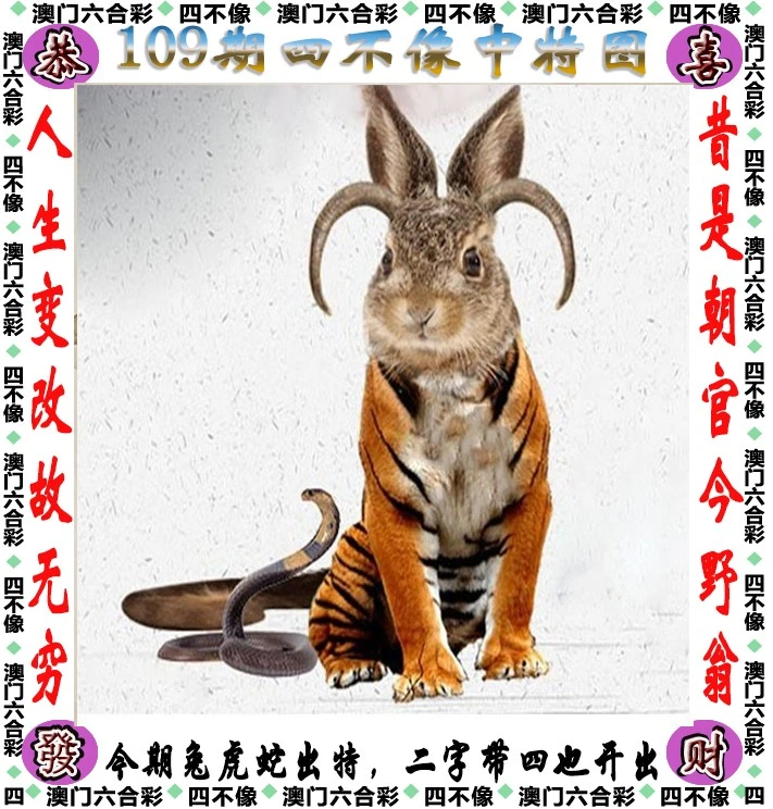 王中王四不像必中一肖——揭秘背后的秘密，揭秘王中王四不像必中一肖的秘密真相