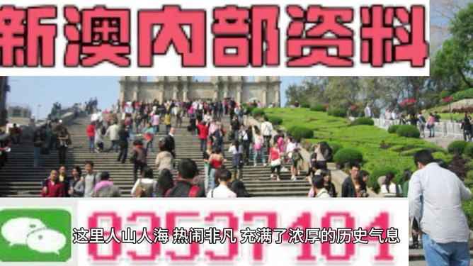 澳門最精準(zhǔn)免費(fèi)資料大全旅游團(tuán)，探索澳門之旅的完美選擇，澳門最精準(zhǔn)免費(fèi)資料大全旅游團(tuán)，探索澳門之旅的不二之選