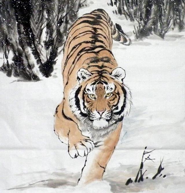 猛虎下山王中王，揭秘一生肖的神秘魅力，揭秘生肖之王——猛虎下山之神秘魅力