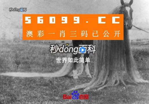 澳門一肖一碼一必中一肖舟山，揭秘彩票秘密，掌握幸運(yùn)之鑰，揭秘彩票秘密，澳門一肖一碼必中秘籍與幸運(yùn)之鑰在舟山開啟
