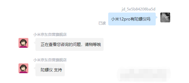 王中王一肖碼，探索關(guān)鍵詞背后的奧秘，王中王一肖碼，揭秘關(guān)鍵詞背后的奧秘