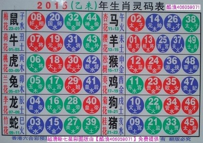 揭秘2025十二生肖與數(shù)字彩票的神奇聯(lián)系——49碼表全解析，揭秘十二生肖與數(shù)字彩票的神秘聯(lián)系，2025年49碼表深度解析