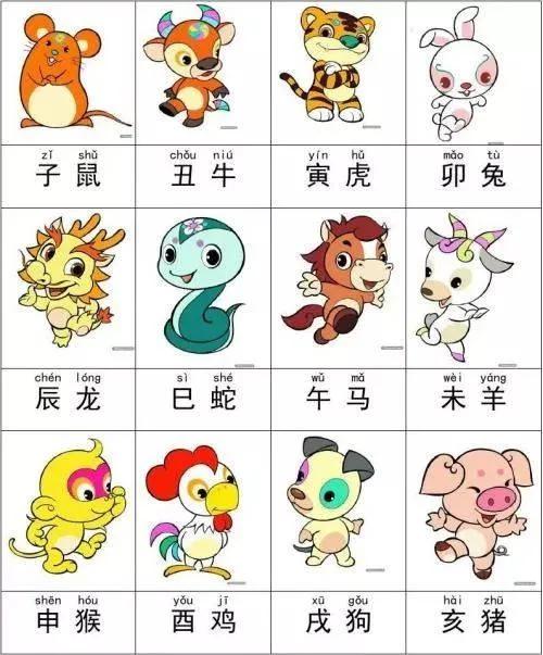 一肖有哪幾個生肖，生肖一肖包含哪些生肖
