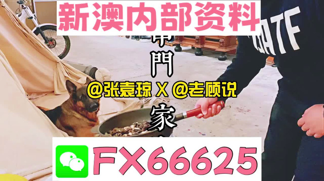 新澳門精準(zhǔn)資料大全，管家婆料解析與探索，澳門精準(zhǔn)資料大全，管家婆料解析與深度探索