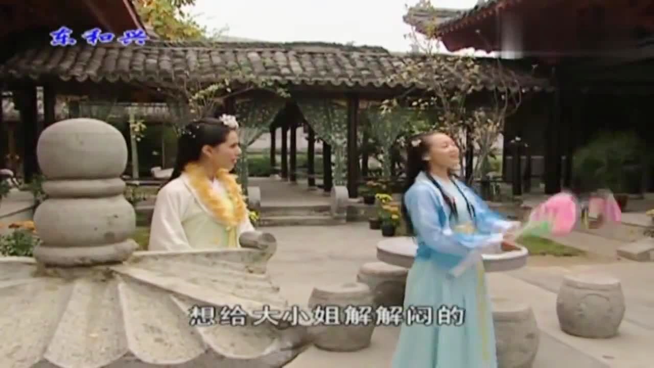 劉伯溫白小姐一肖期期準(zhǔn)，神秘預(yù)測(cè)背后的真相，劉伯溫白小姐生肖預(yù)測(cè)揭秘，神秘預(yù)測(cè)背后的真相