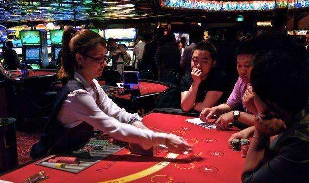 澳門金牛王中王一肖，探索背后的神秘與魅力，澳門金牛王中王一肖，神秘魅力背后的探索