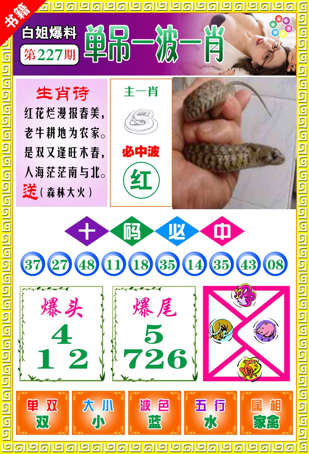 王中王免費(fèi)一肖開(kāi)獎(jiǎng)，揭秘彩票背后的秘密，揭秘彩票背后的秘密，王中王免費(fèi)一肖開(kāi)獎(jiǎng)探秘