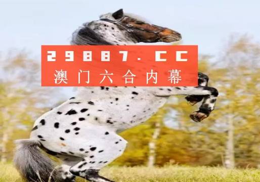 關于白小姐三碼三期必出一期嗎的真相探討，白小姐三碼三期必出一期真相揭秘與探討