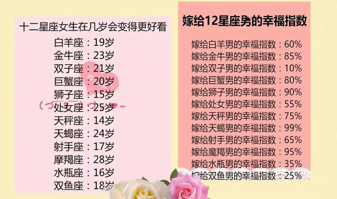 王中王十二生肖所屬之肖解析，王中王十二生肖解析揭秘
