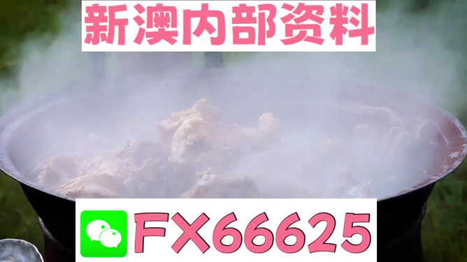 新澳全年免費資料大全，一站式獲取優(yōu)質(zhì)資源指南，新澳全年優(yōu)質(zhì)資源免費獲取指南