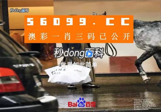 新澳一碼三中三資料，探索與解析，新澳一碼三中三資料解析與探索