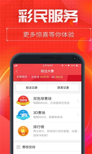 王中王資料特一肖中特，深度解析與探索，王中王資料特一肖中特深度解析與探索報告