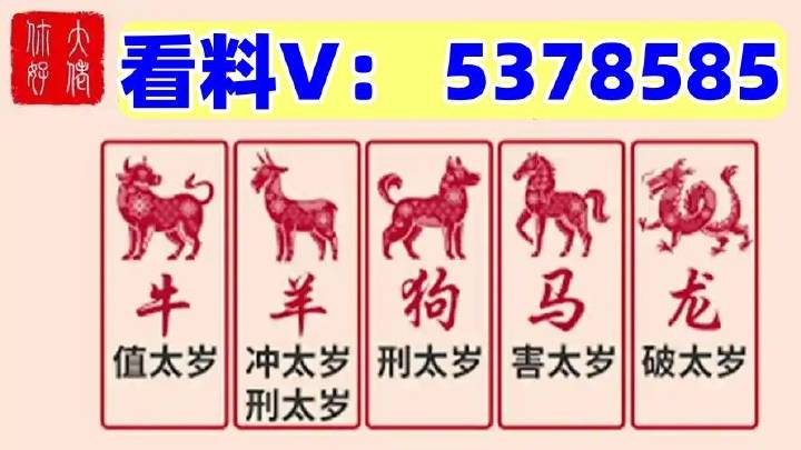 澳門馬站最快開獎結(jié)果，探索與解析，澳門馬站最新開獎結(jié)果解析