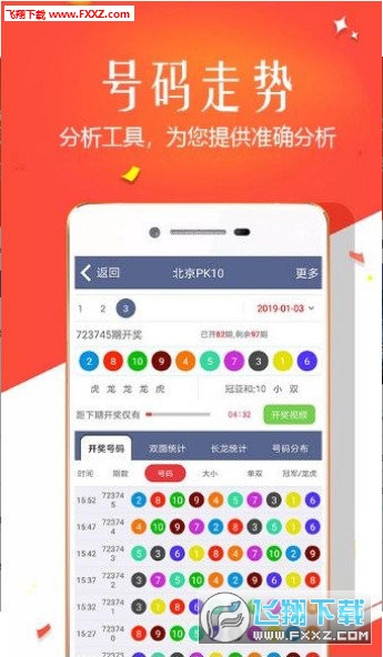 王中王四肖選一，揭秘選擇與優(yōu)化策略，王中王四肖選一，選擇與優(yōu)化策略的揭秘