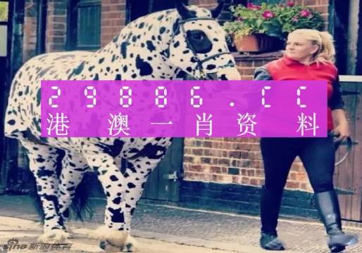 澳彩平肖王中王，一笑一碼的秘密與SEO優(yōu)化策略，澳彩平肖王中王，揭秘一笑一碼背后的SEO優(yōu)化策略