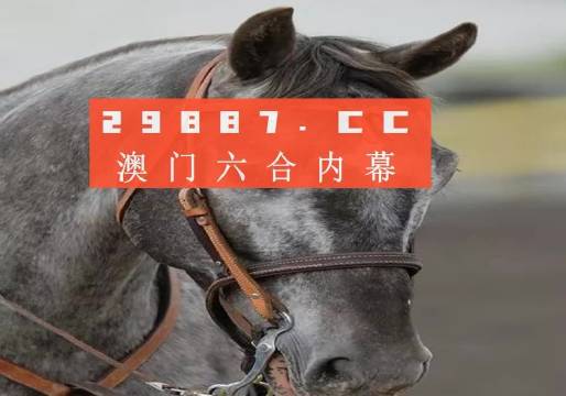 澳門一一碼一特一中準(zhǔn)選今晚，探索真實(shí)有效的選擇與策略，澳門今晚一特一中準(zhǔn)選碼，真實(shí)有效的選擇與策略探索