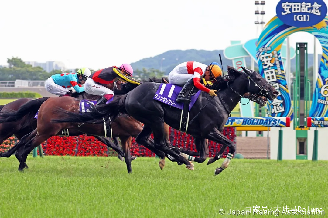 香港王中王與一馬中特肖的獨(dú)特魅力，深度解析與探索，香港王中王與一馬中特肖的獨(dú)特魅力，深度探索與解析