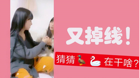 王中王欲錢詩猜一肖，王中王欲錢詩暗示的生肖之謎