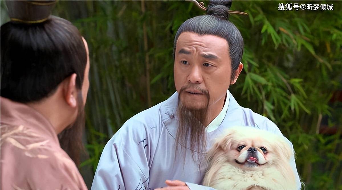 揭秘劉伯溫四不象一肖的神秘面紗——探尋背后的傳奇故事，揭秘劉伯溫四不象一肖背后的傳奇故事，神秘面紗下的神秘傳說