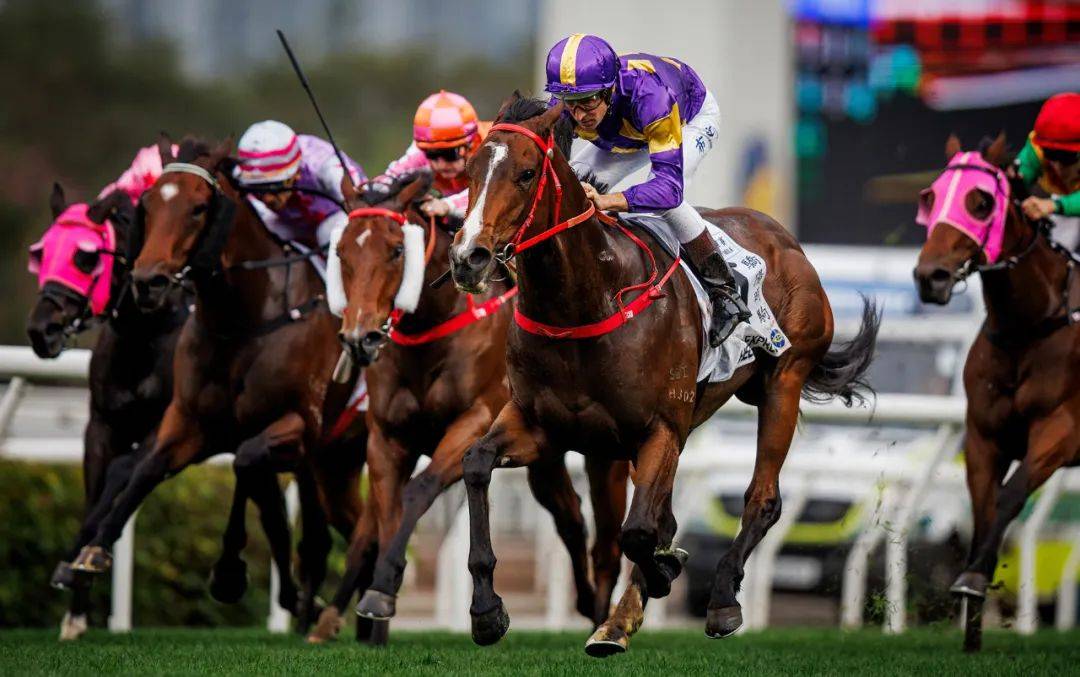 香港賽馬，探索賽馬運(yùn)動(dòng)的激情與榮耀之地——7777788888的獨(dú)特魅力，香港賽馬，激情與榮耀的獨(dú)特魅力探索——777778賽馬運(yùn)動(dòng)之地