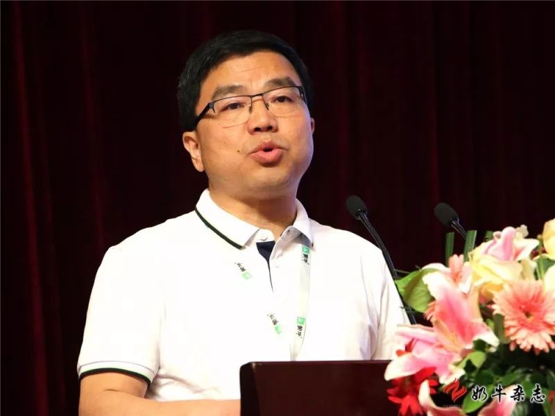 王中王一平特肖，揭秘第100期的秘密與策略，揭秘第100期秘密與策略，王中王一平特肖獨(dú)家解析
