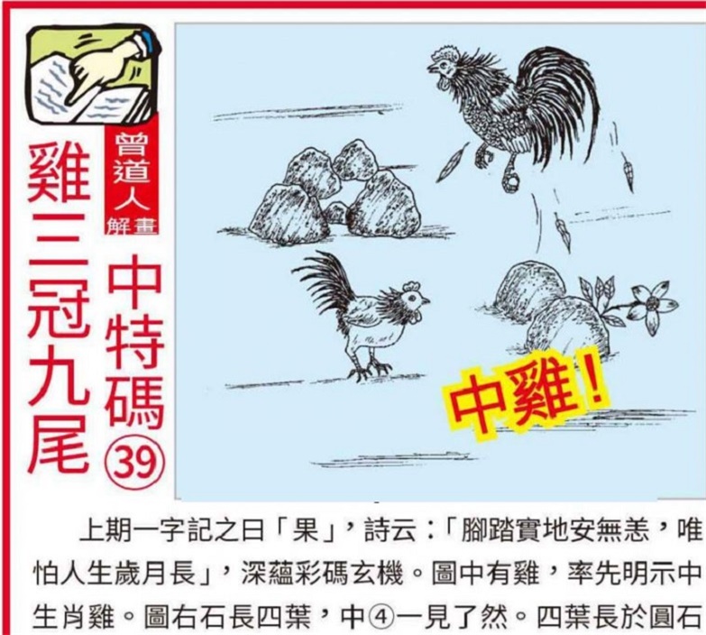 澳門(mén)2025全年資料大全正版資料權(quán)威指南，澳門(mén)2025全年正版權(quán)威指南，全面資料大全與權(quán)威解讀