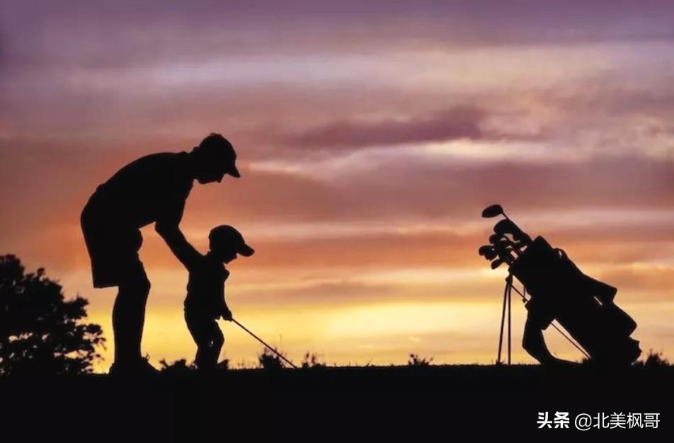 森林高手王中王與神秘生肖——深度解讀背后的故事與秘密，森林高手王中王與神秘生肖，故事背后的深度解讀與秘密探尋